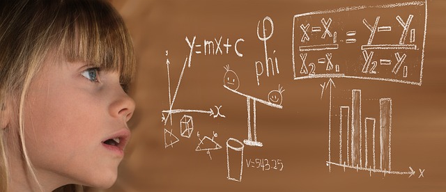 Algebra 1 Big Ideas Math Answer Key