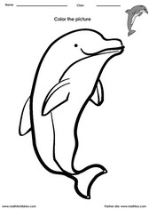 coloring a dolphin activity for kids. Coloring activity for kids