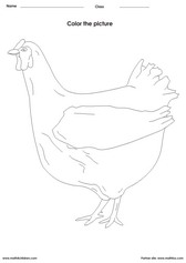 Coloring a hen activities for children - PDF