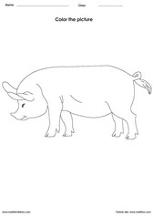 Coloring a pig activities for children - PDF
