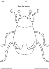 coloring beetles activity for children - PDF printable worksheet