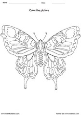 coloring a butterfly activity for children - PDF printable worksheet