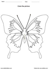 coloring a butterfly activity for children - PDF printable worksheet 2