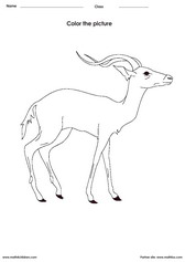 coloring an antelope activity for children - PDF printable worksheet 