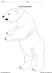 coloring a bear activity for children - PDF printable worksheet 