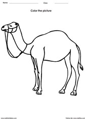coloring a camel activity for children - PDF printable worksheet