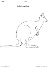 coloring a kangaroo activity for children - PDF printable worksheet 