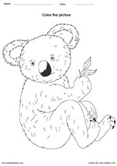 coloring a koala activity for children - PDF printable worksheet 