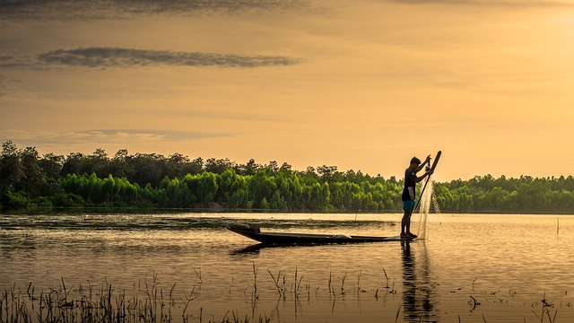 Farm Fishing