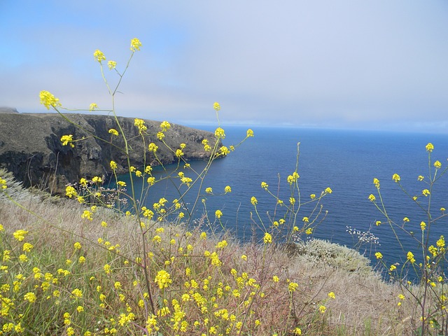 Channels Islands National Park